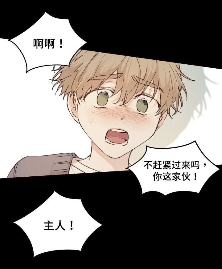 第33章：被谁抢走了