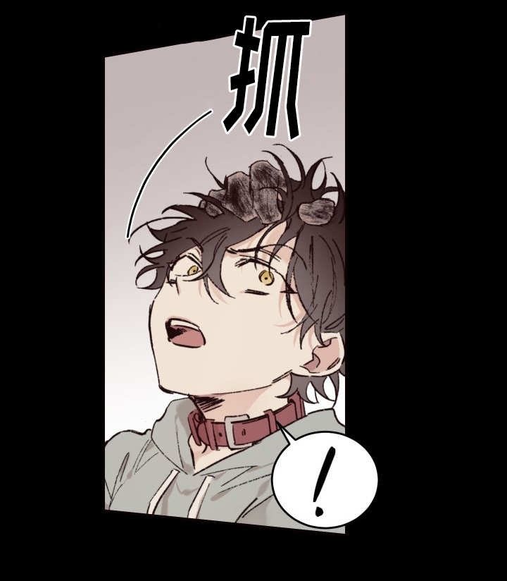 第33章：被谁抢走了