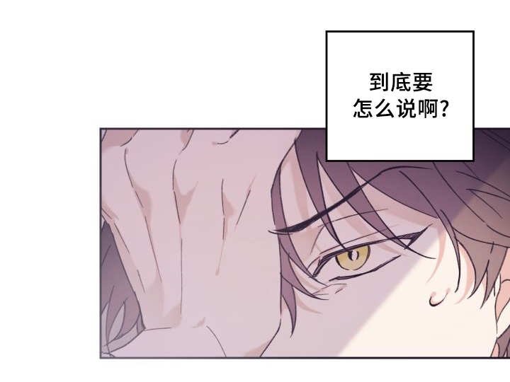 第36章：喜欢你啊