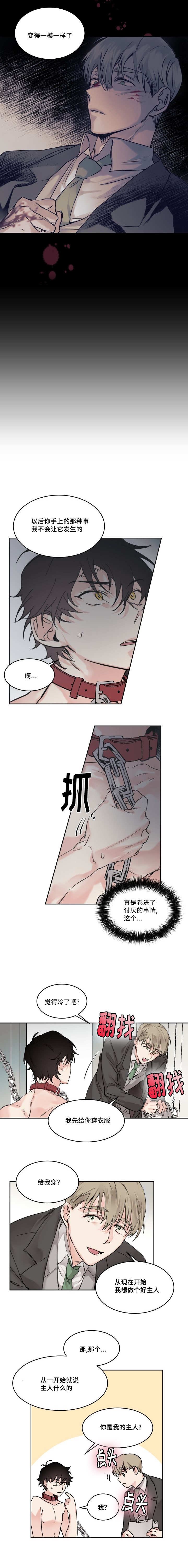 第4章：做个好主人