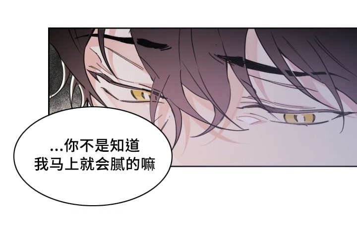 第41章：小心一点