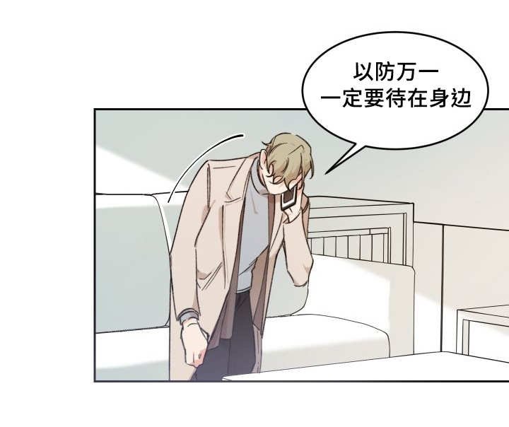 第42章：陷入爱情