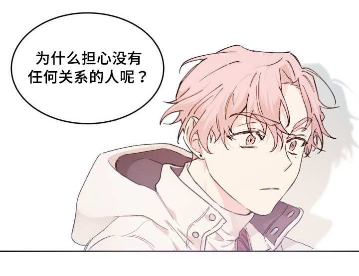 第42章：陷入爱情