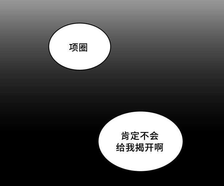 第42章：陷入爱情