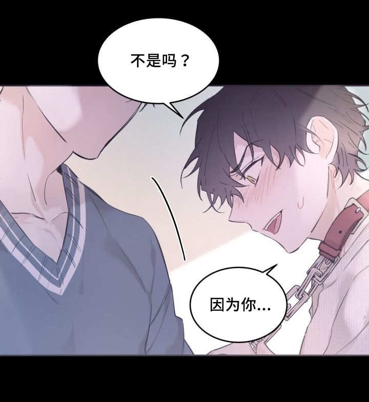 第42章：陷入爱情