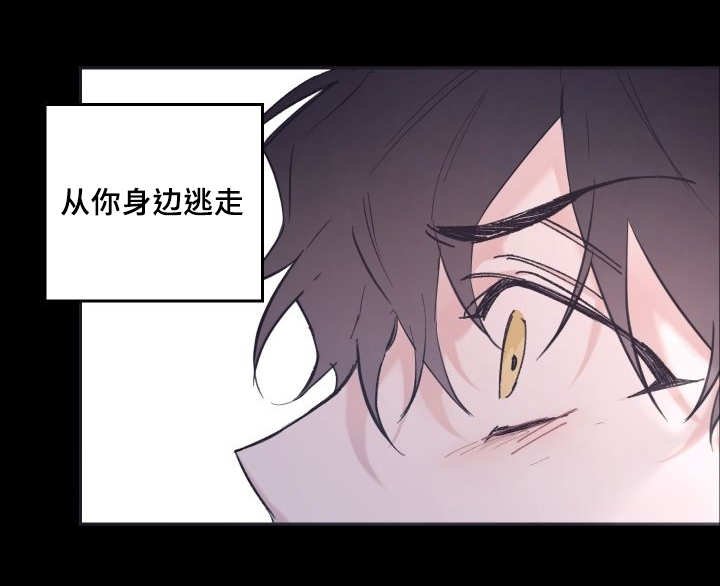 第42章：陷入爱情