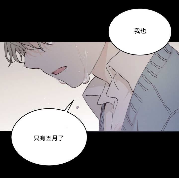 第43章：你的爱人
