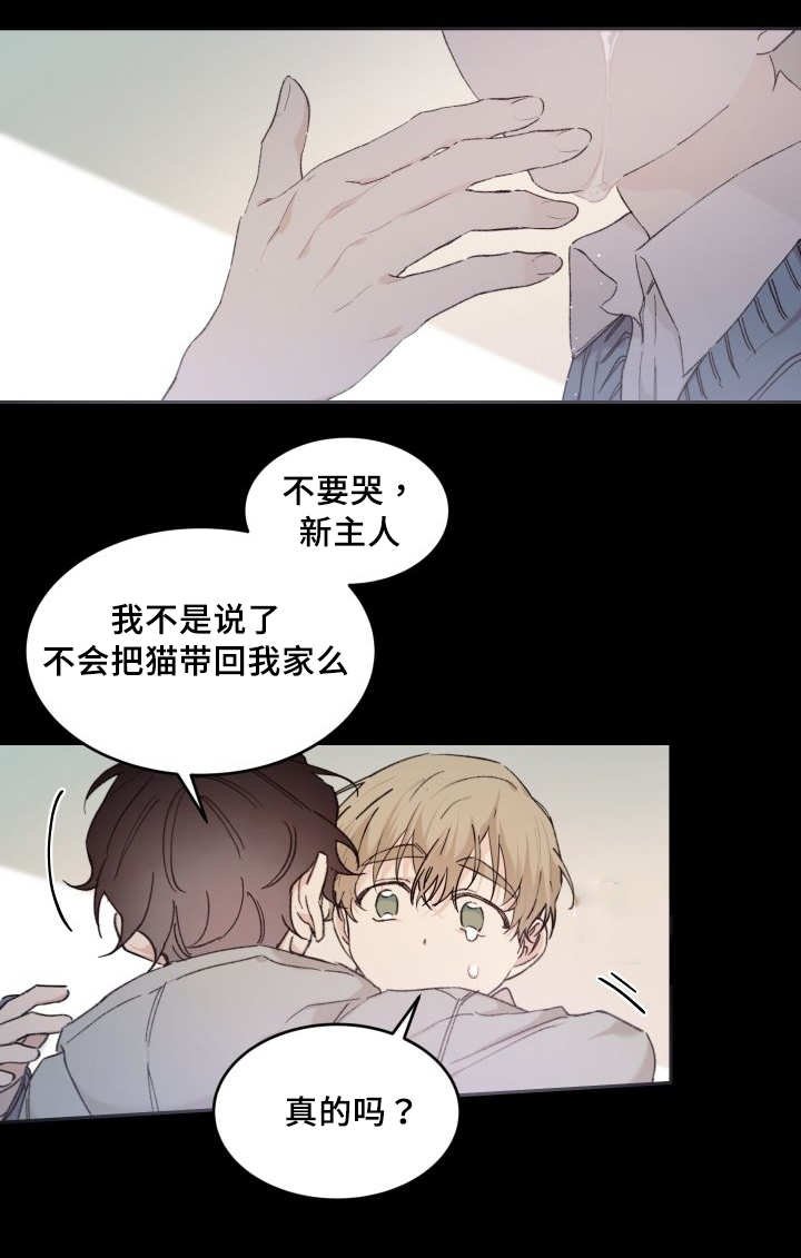第44章：只是羡慕