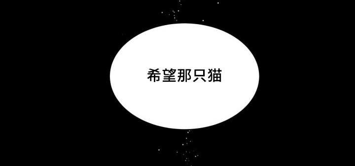 第44章：只是羡慕