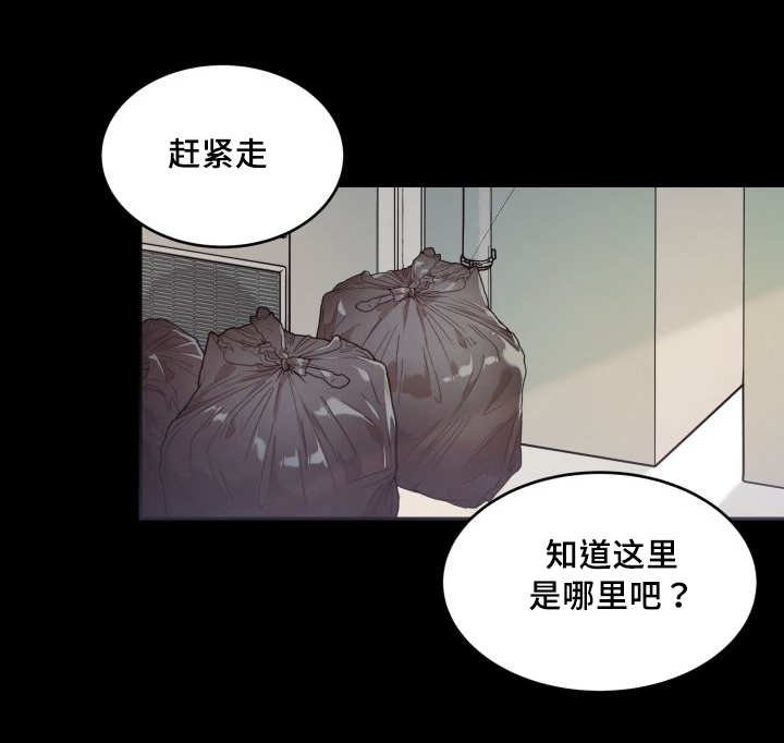 第44章：只是羡慕