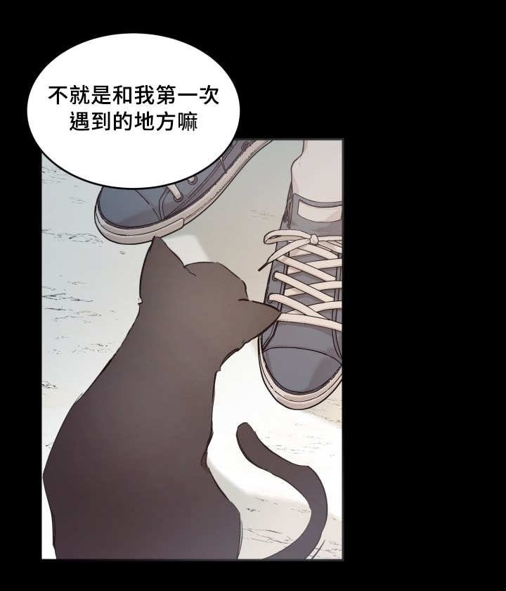 第44章：只是羡慕