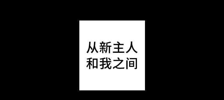 第44章：只是羡慕