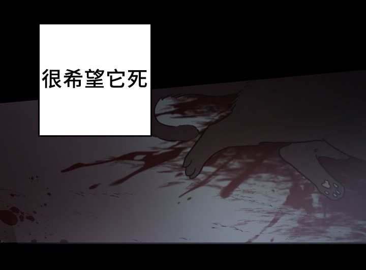 第44章：只是羡慕