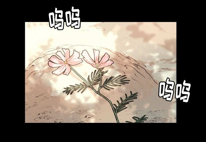 第44章：只是羡慕