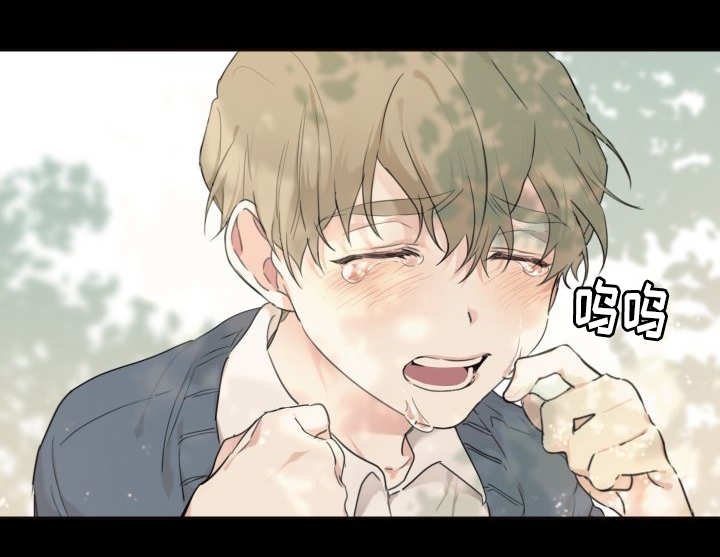 第44章：只是羡慕