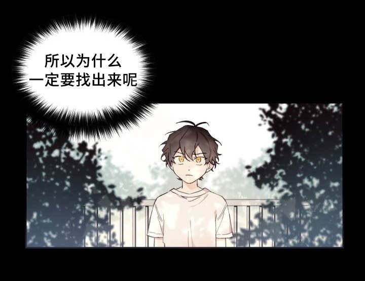 第44章：只是羡慕