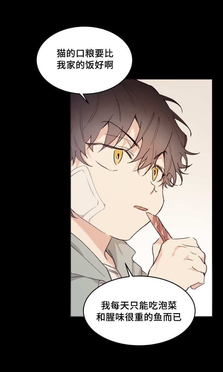 第44章：只是羡慕