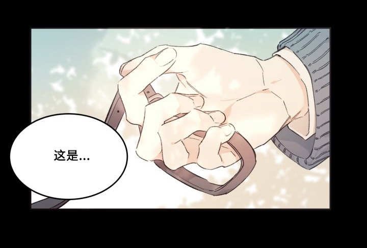 第45章：到底是谁