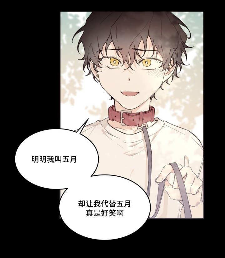 第45章：到底是谁