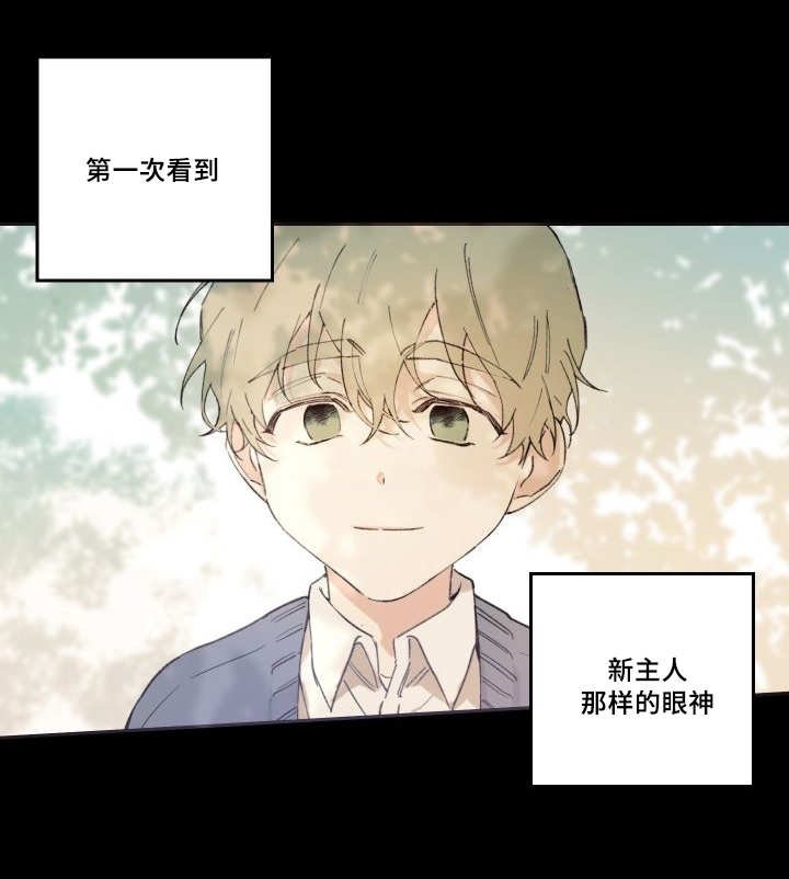 第45章：到底是谁