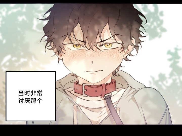 第45章：到底是谁