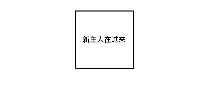 第46章：想要见他
