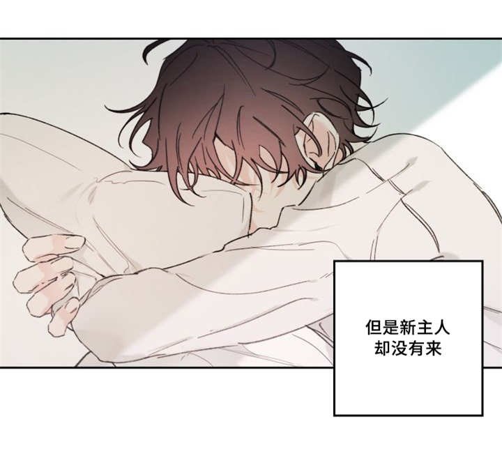 第46章：想要见他