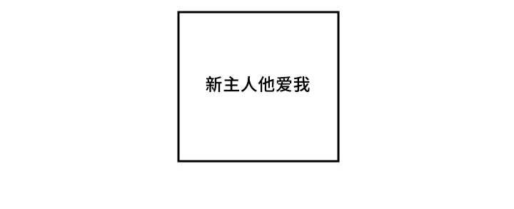 第47章：没来找我
