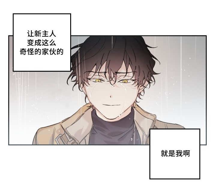第47章：没来找我