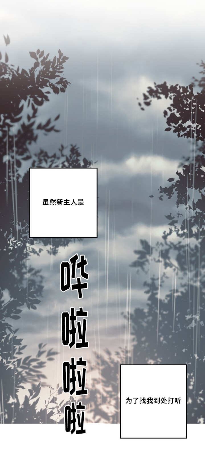 第48章：大结局