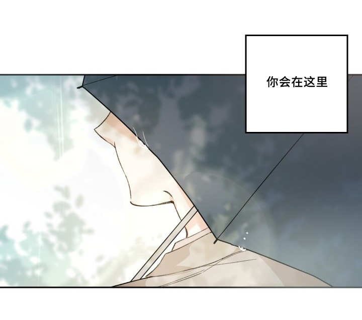 第48章：大结局