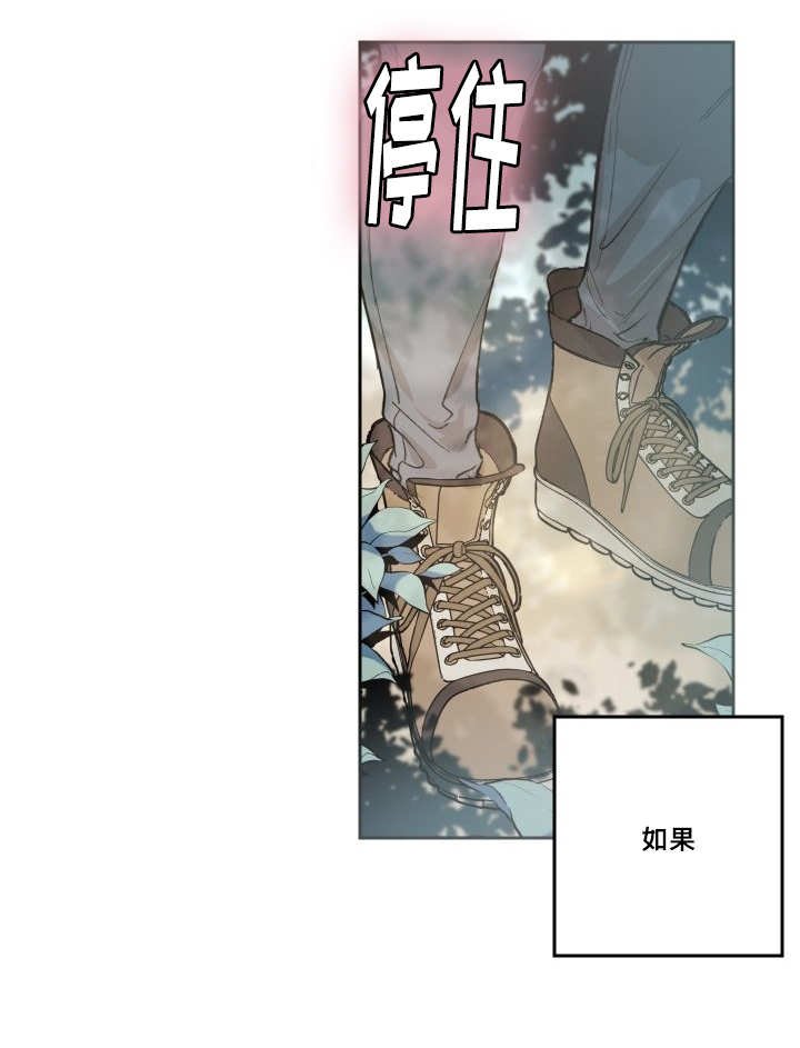 第48章：大结局
