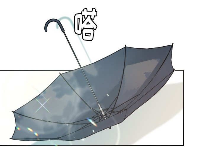 第48章：大结局