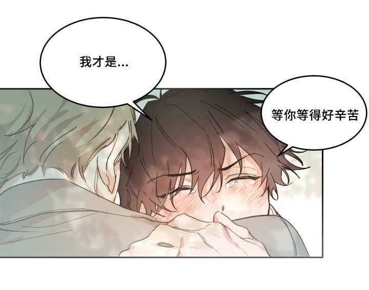 第48章：大结局