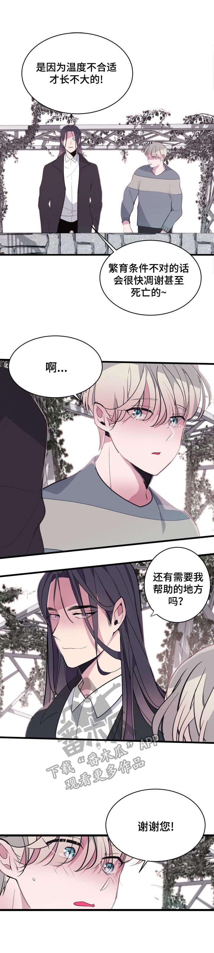 第11章：改变主意