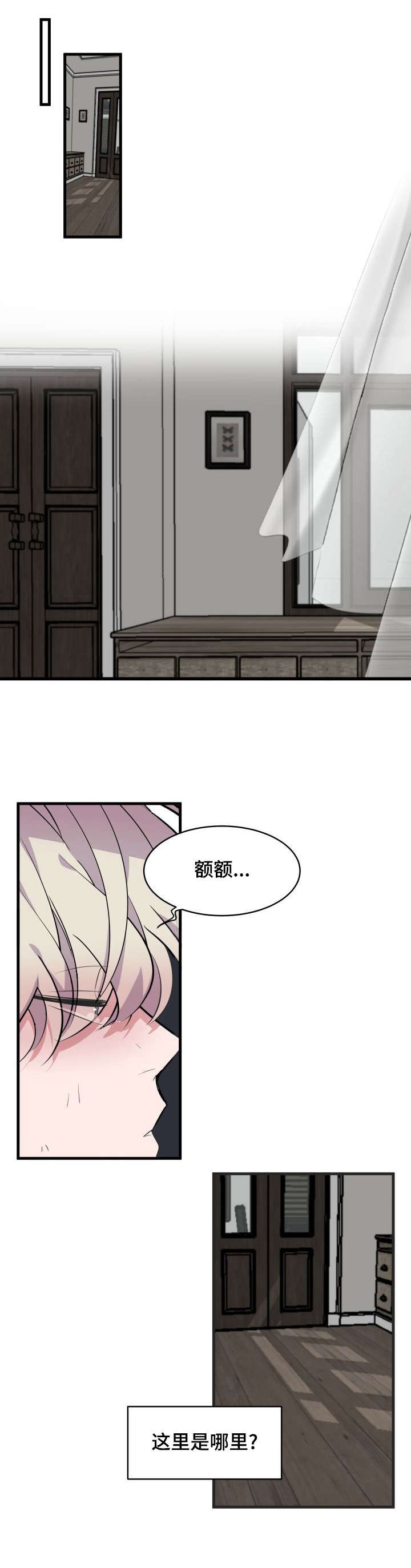 第13章：带回家