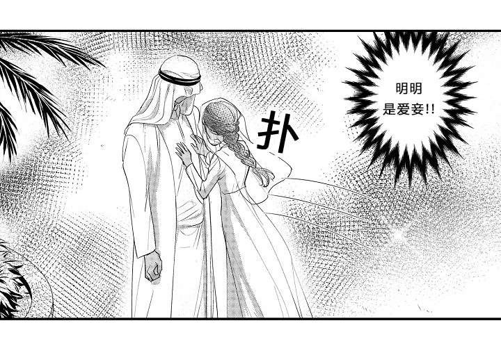 第10章：真心喜欢