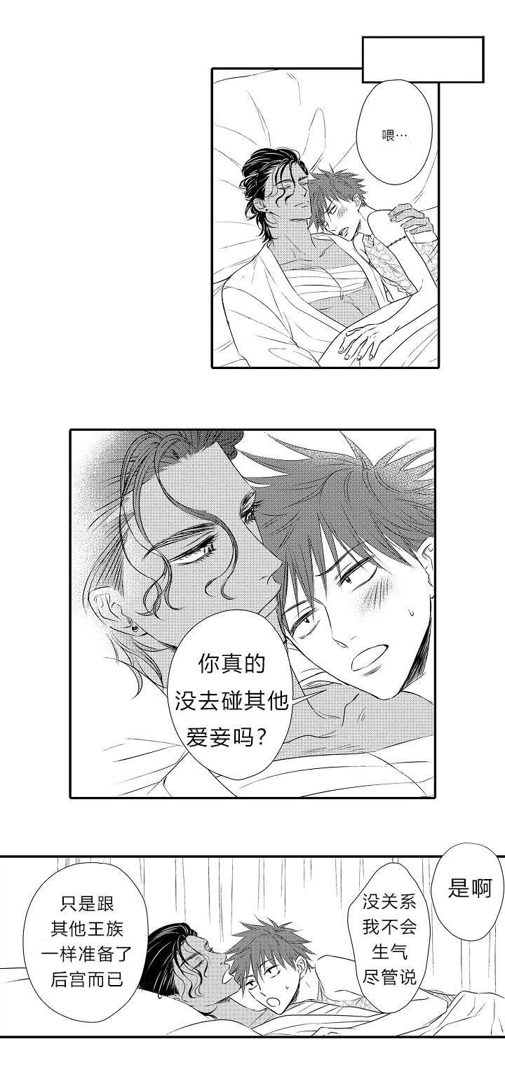 第15章：表白心迹