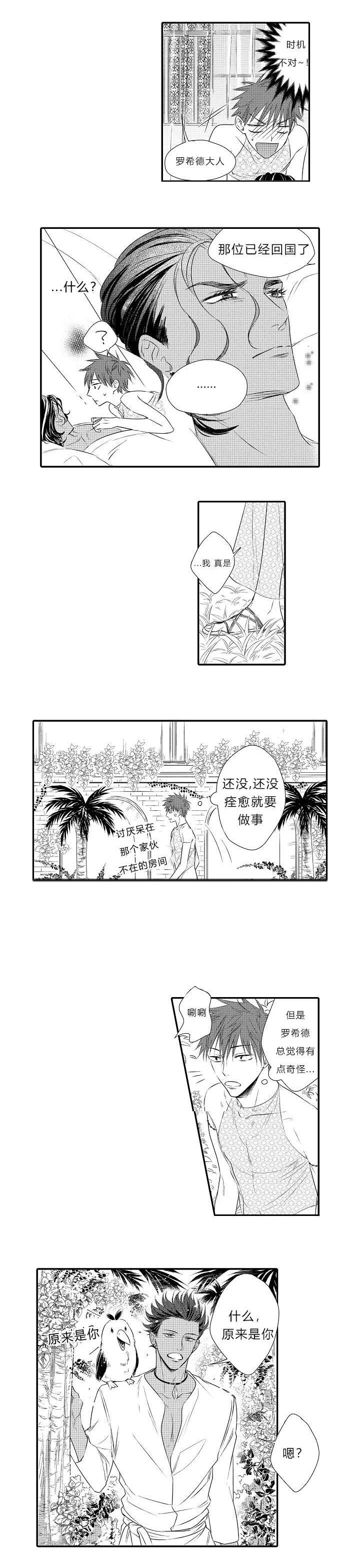 第15章：表白心迹