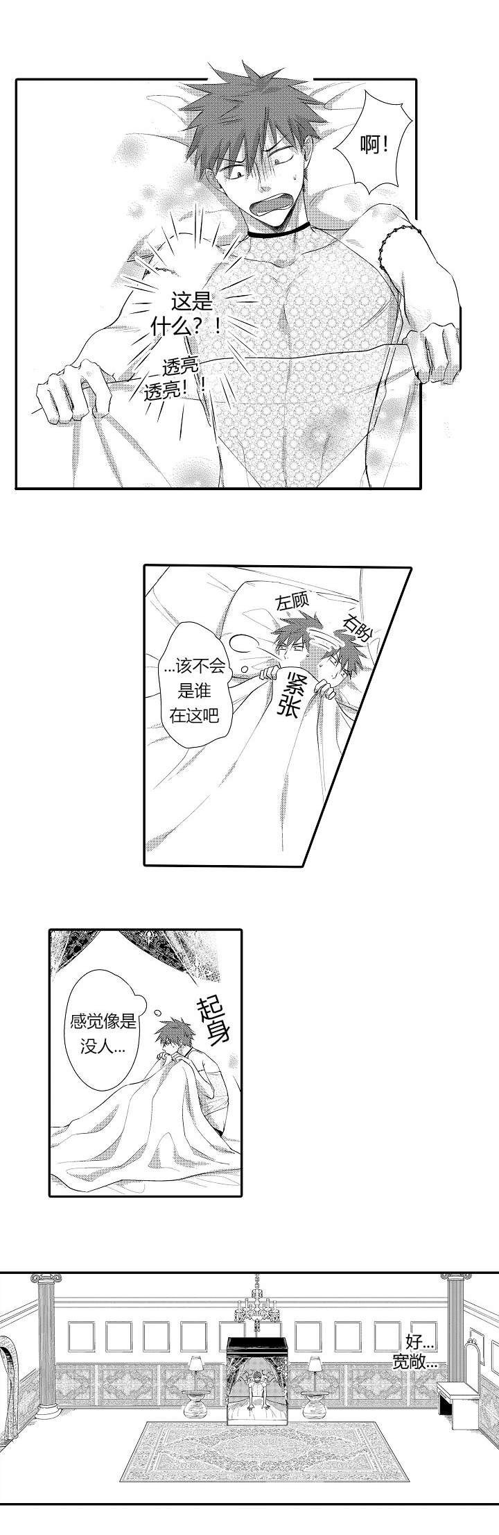 第2章：拍卖