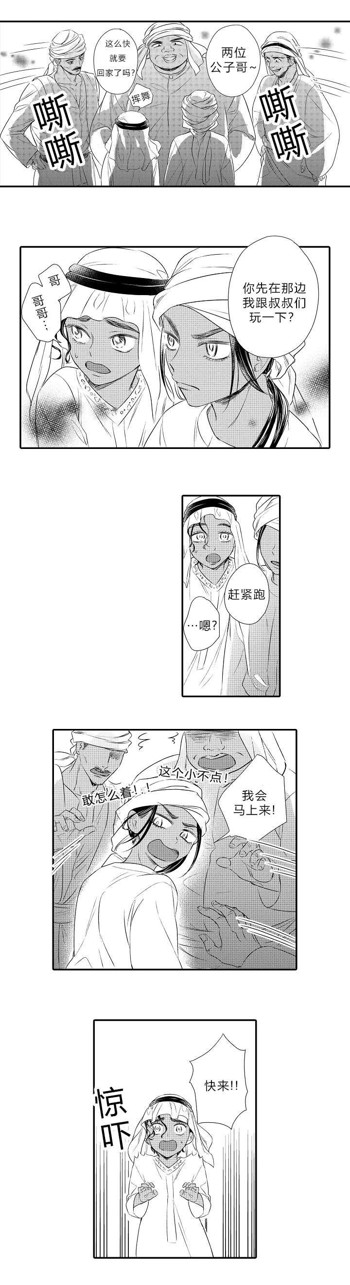第20章：哥哥对我的意义