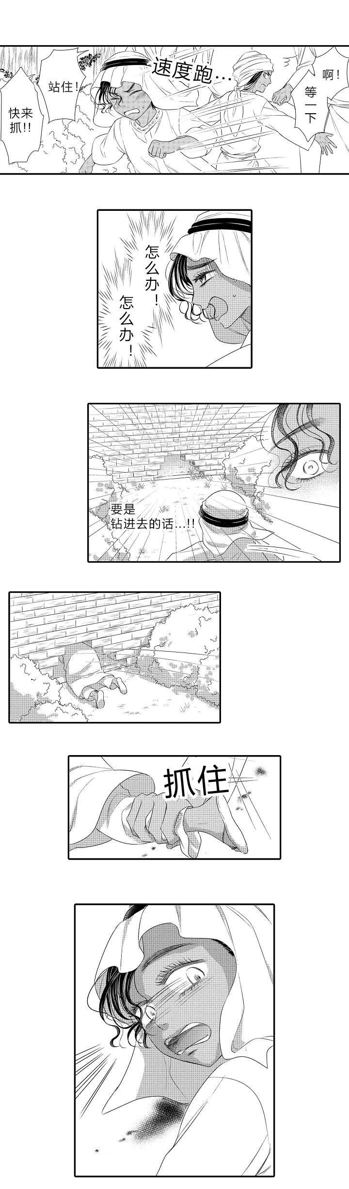 第20章：哥哥对我的意义