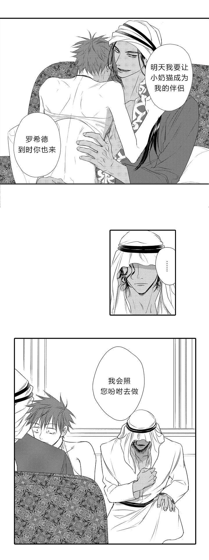 第24章：事实