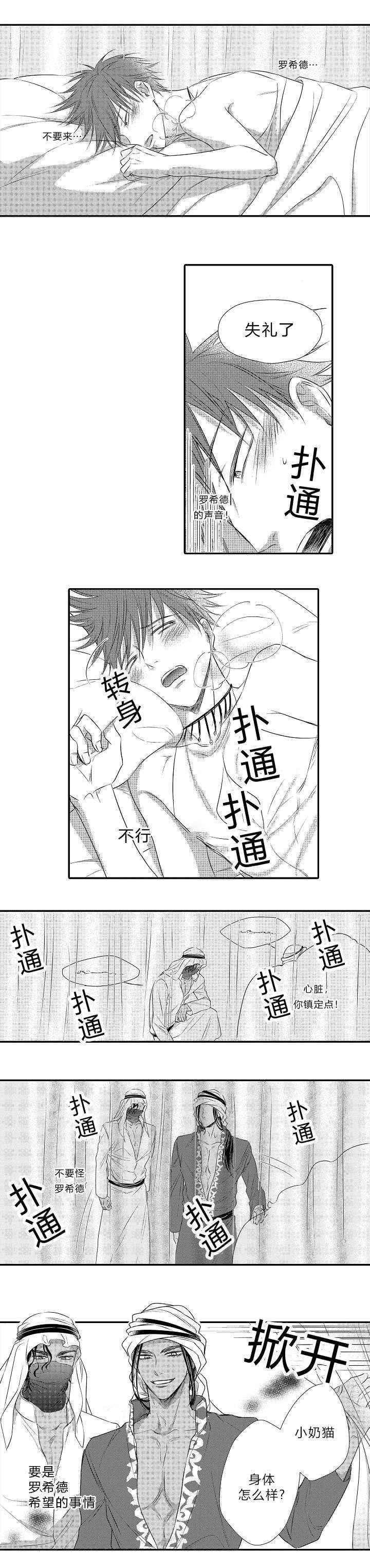 第26章：认命