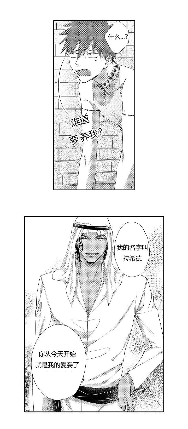 第3章：外国人