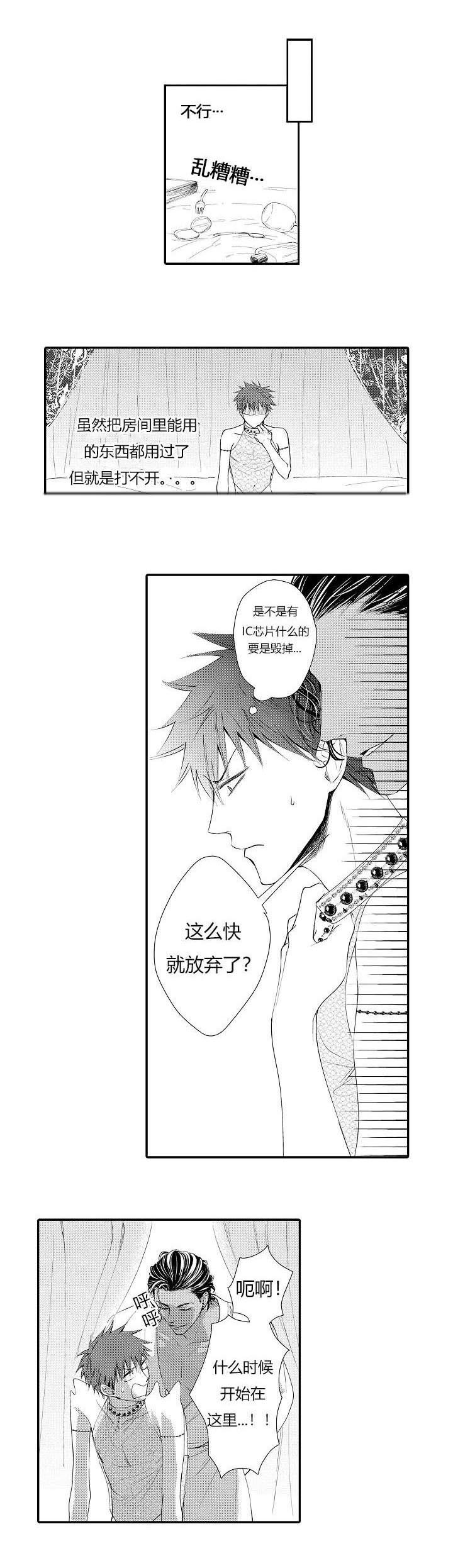 第6章：商定协议