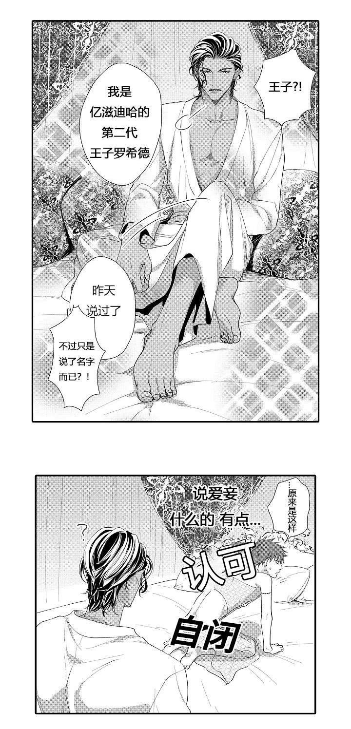 第6章：商定协议