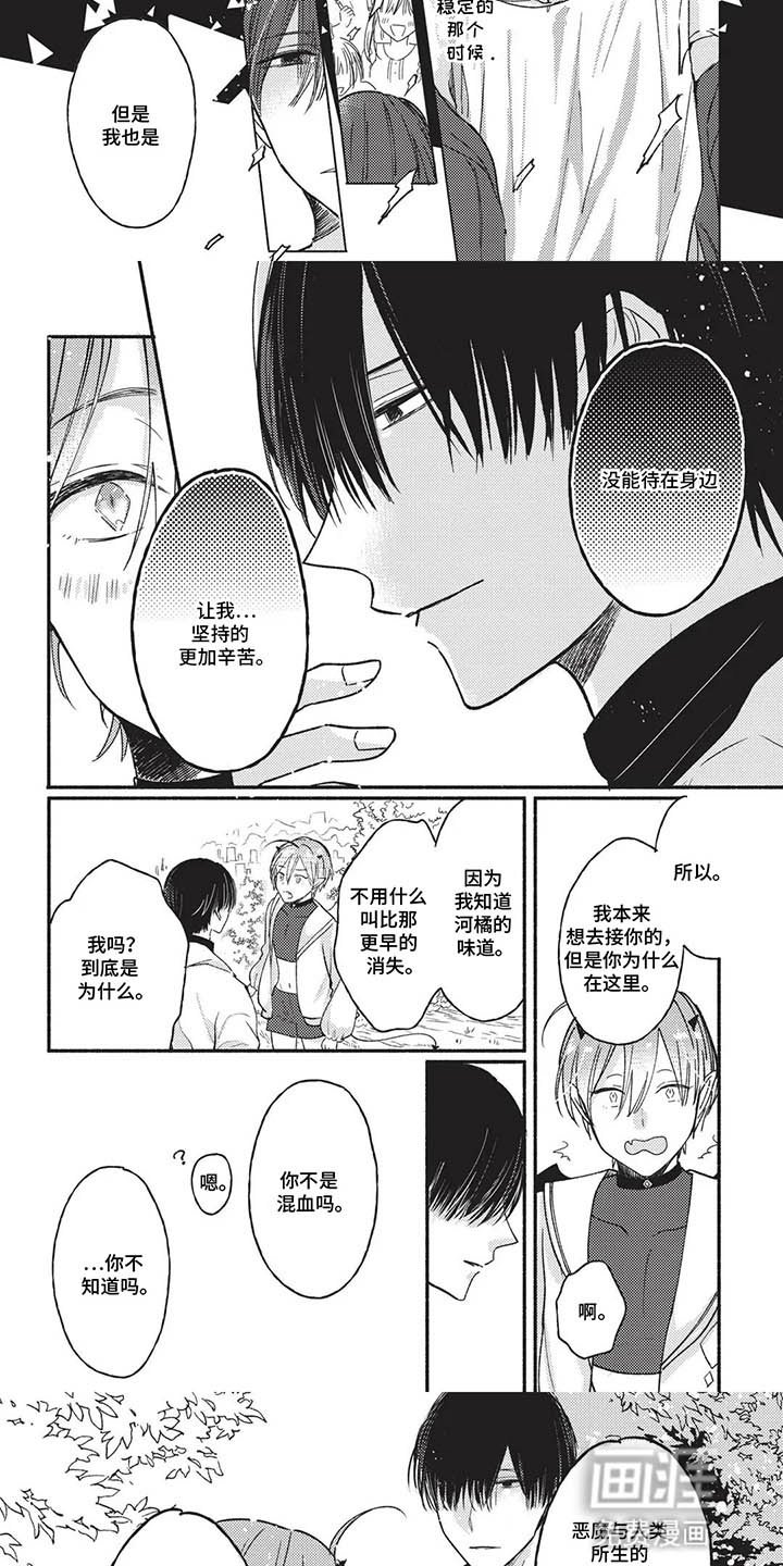 第13章：再次见面