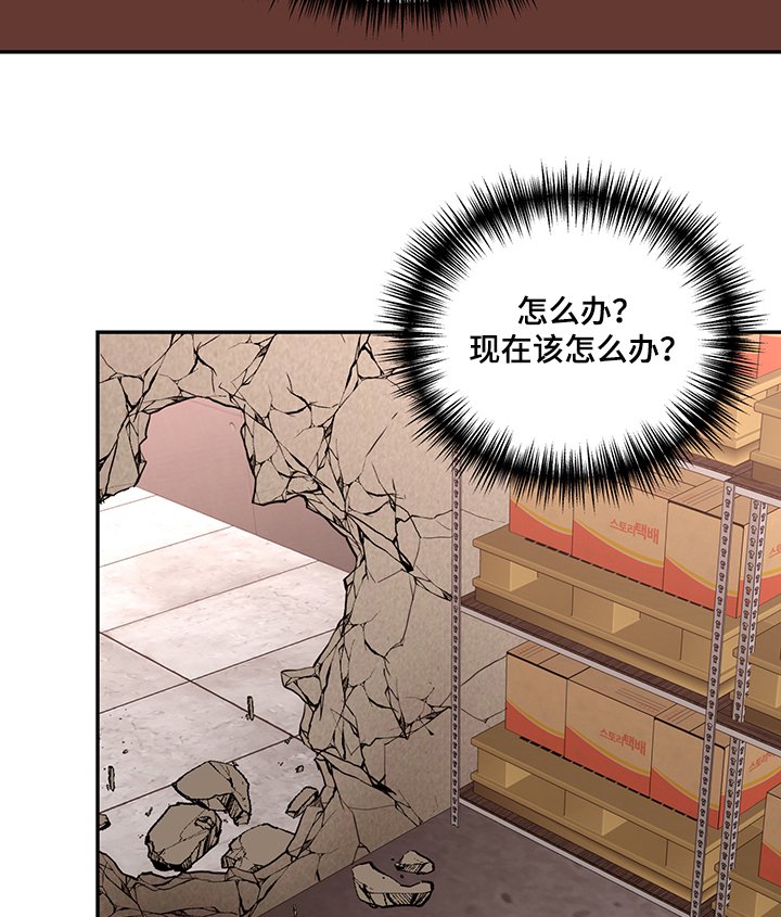 第47章：墙塌了