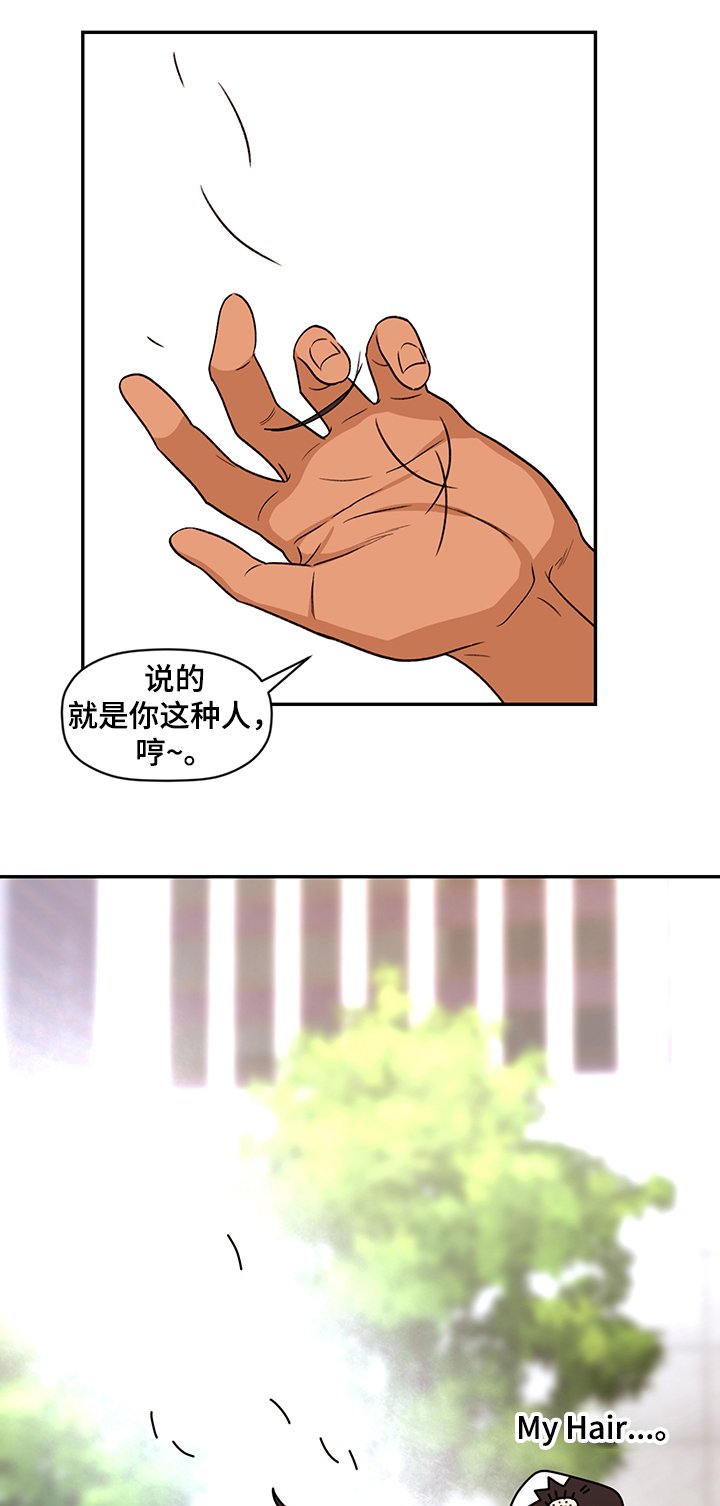 第51章：【完结】奇怪的梦